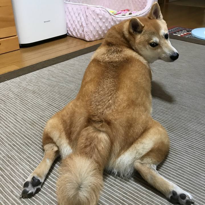 B62c8dd6 28a2 4b2d 8c43 cffa49c8b4e7