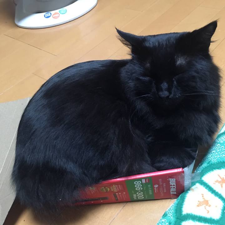 B62ca4c6 6be7 4eb2 a5f8 a4922866d1b9