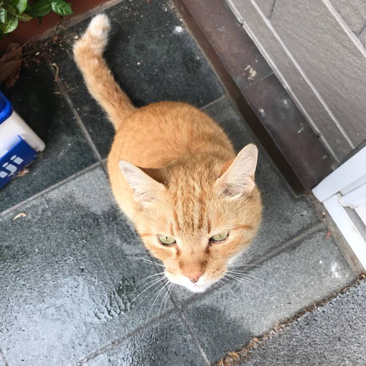 B62cea77 7bdd 485a b974 0fcd2155a85c