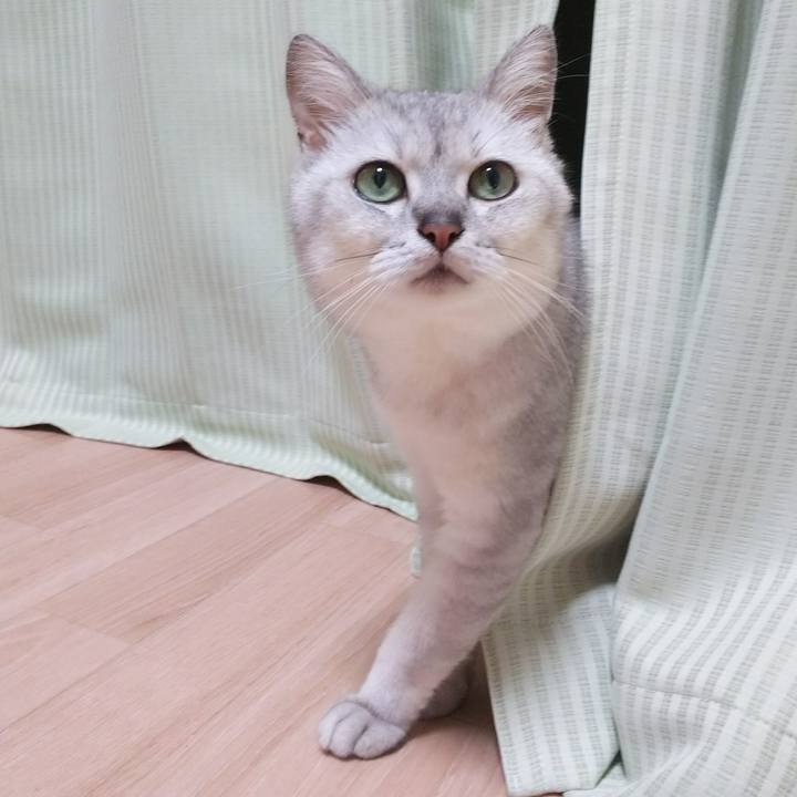 B62d1266 3471 4933 8e86 0688e4d77299