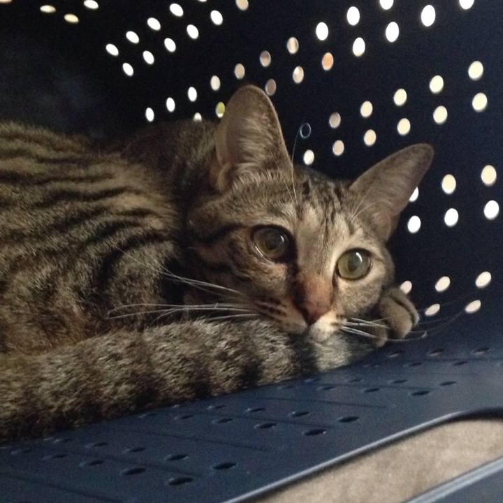 B62d1ab8 0718 4c09 9b8a 47ef61616725