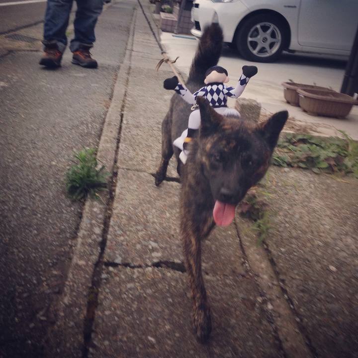 B62d3567 8070 4d10 aee7 06340566fb30