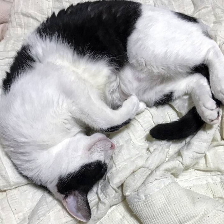 B62dc036 c1ad 45d6 ab6c 150a6aaa5988