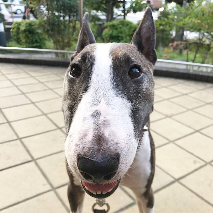 B62e5240 c1dc 43b2 9719 775eb5eb292f