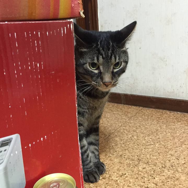 B62ec388 04bf 4de9 8f91 4c63e335db27