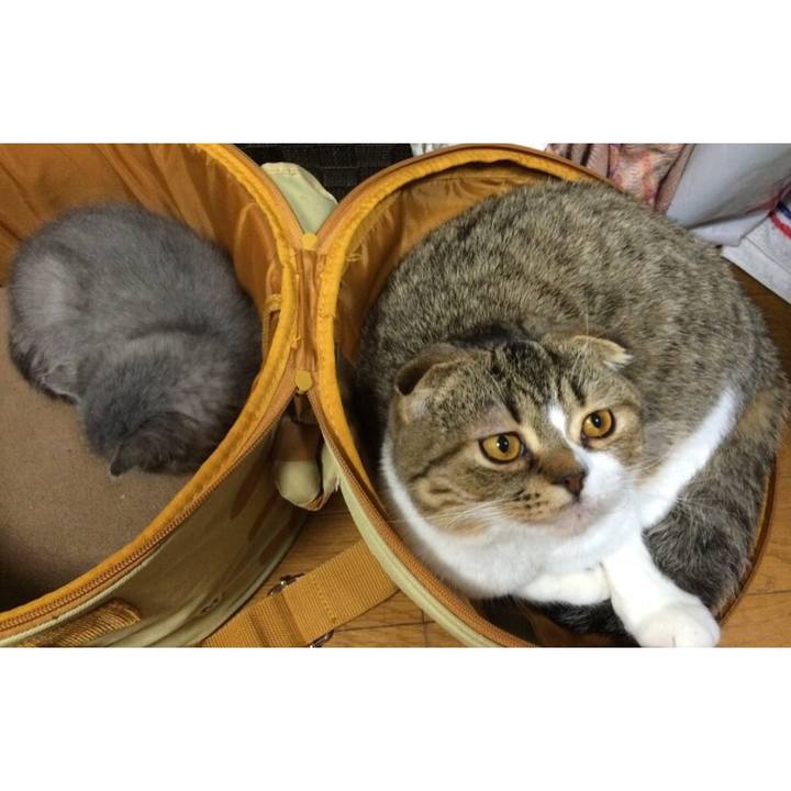 B62f0b90 23a7 40d2 b32f eb4e7867a803