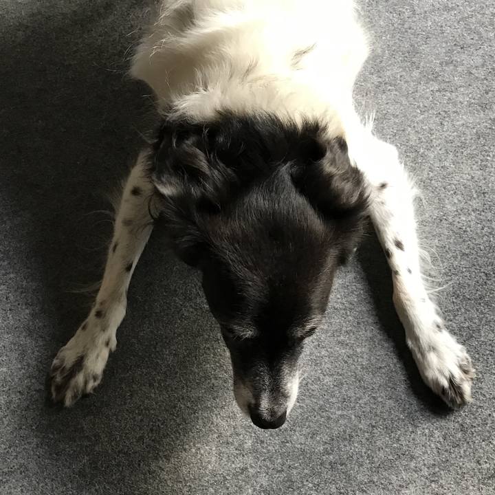 B62f3b11 6eab 47c2 bcb5 51d433306f53