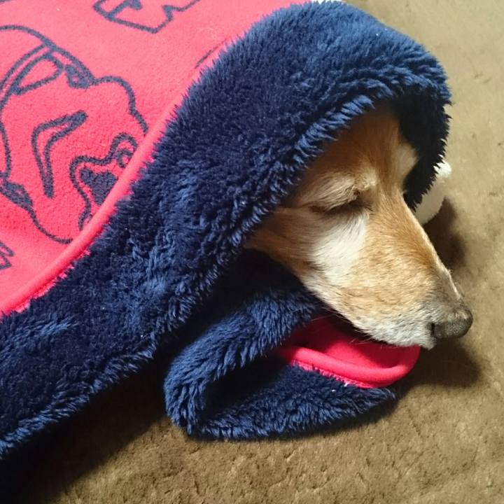 B62f8ef9 3fe2 4858 a136 e5f73ec36803