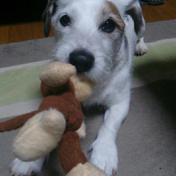 B62fcca8 15e2 49d5 98b1 1e563cf58213