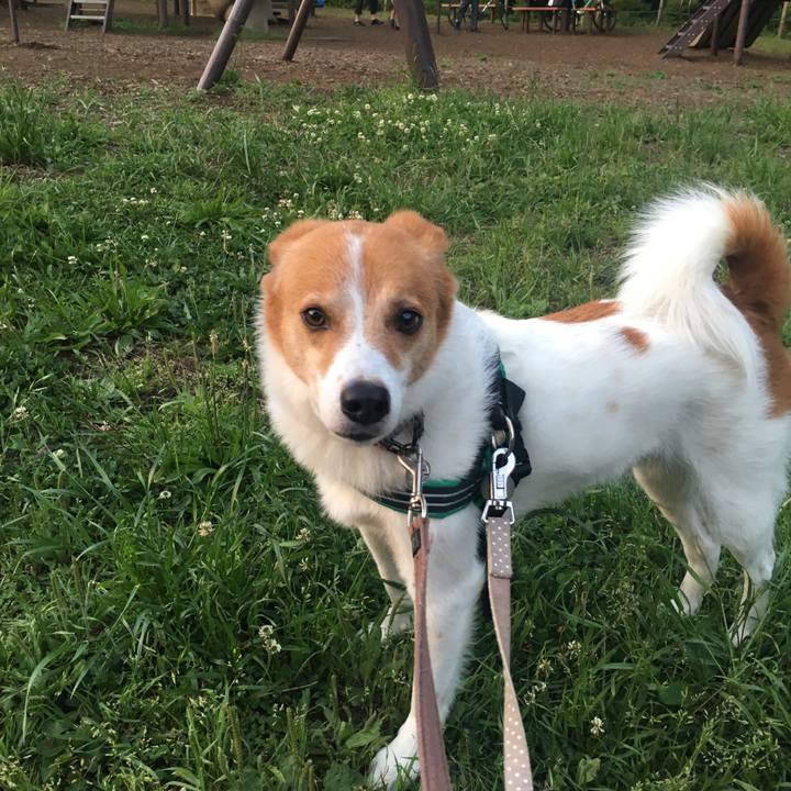 B6302d80 f189 4478 97da 7ee781c71b15