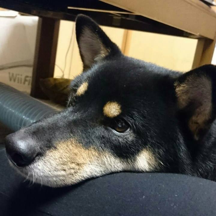 B630975b ae82 4b44 b3fa 2b5ce5251ea6