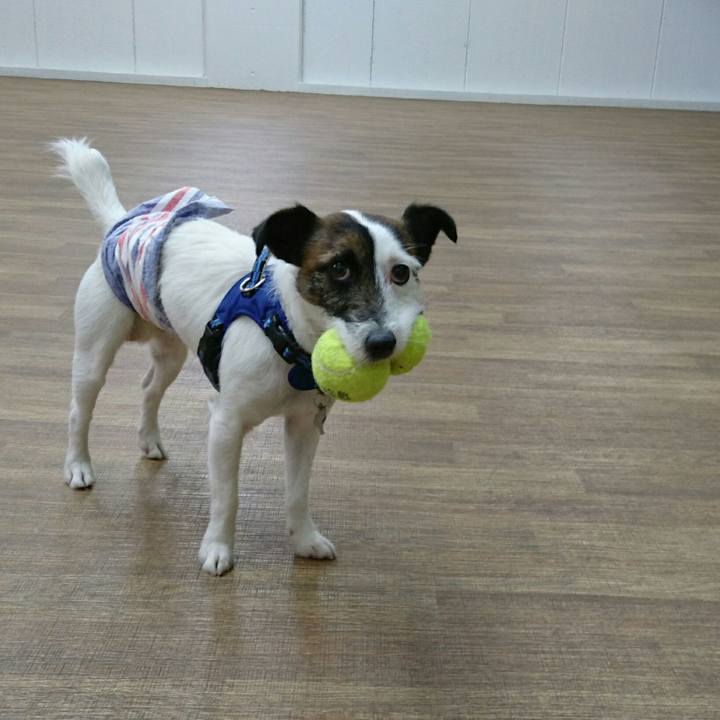 B630ad56 595a 4160 93d0 7f559a7381b5