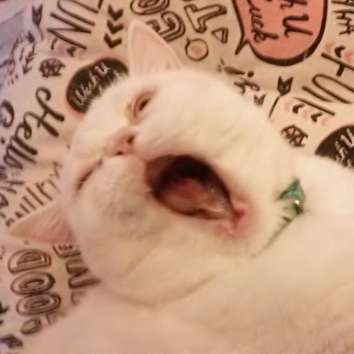 B6318a5e d10c 48b1 9704 a05204a5c90e