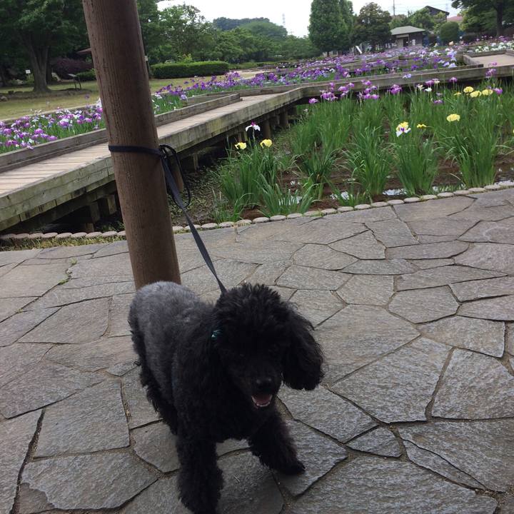 B631a287 d267 4b7d ace6 37f342633082