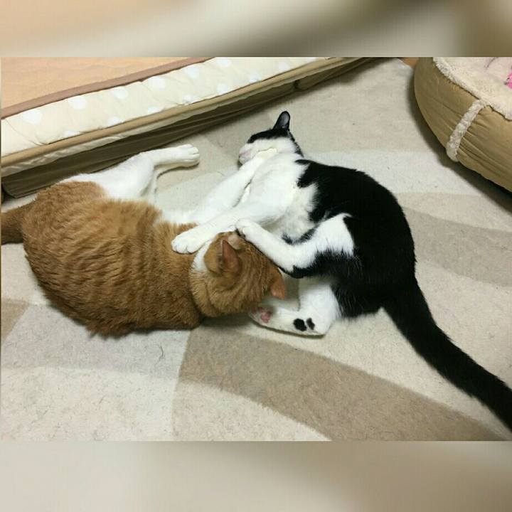 B631a4b4 278c 491c 8d69 0ba540f8420e