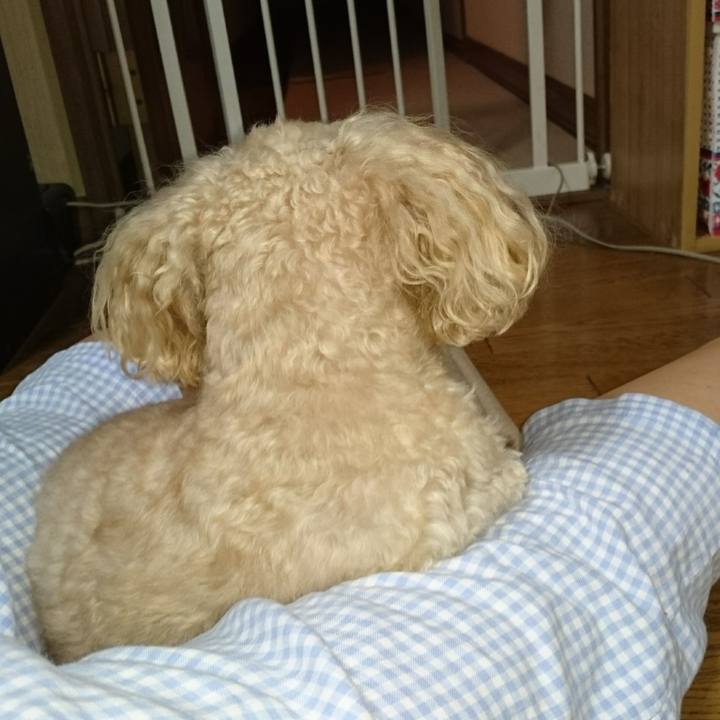 B63234b0 a953 4942 bd50 8ecb455335b3