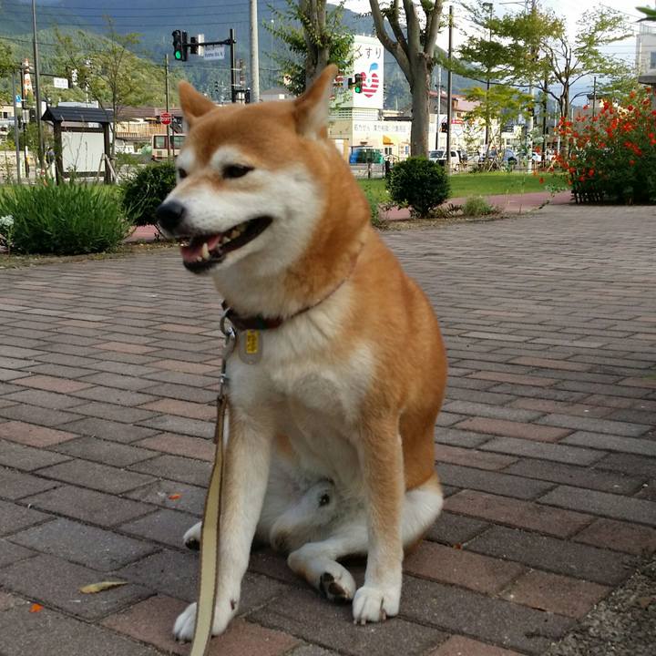 B632405a fc0c 4d9c 814d a65962de9ecf