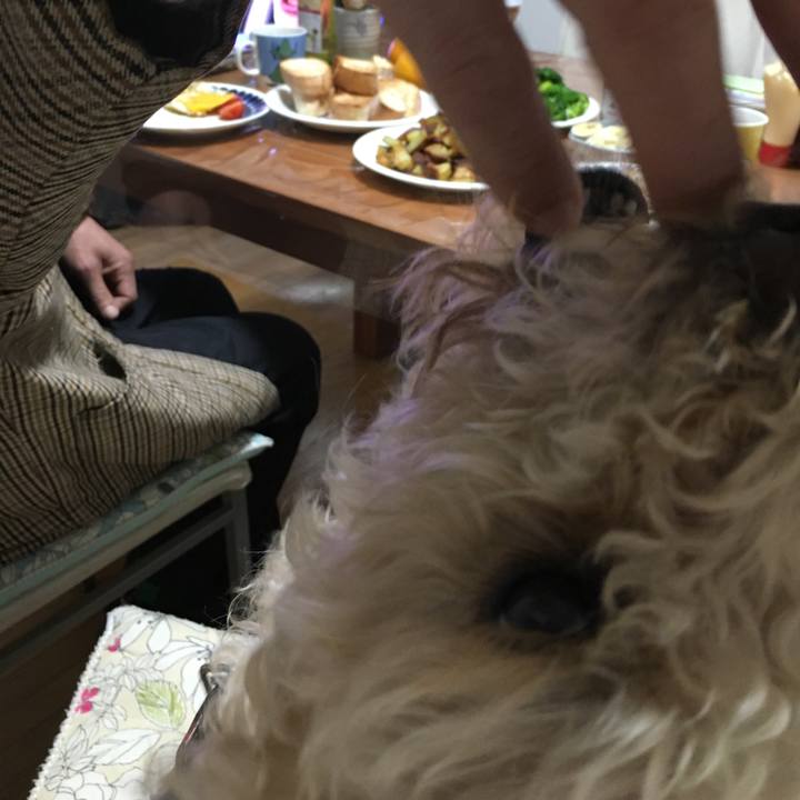 B632b0f5 d09e 449e 87f4 607759afd72e