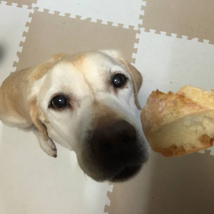 B632fbfb 2cda 4f9f a7e9 675bf8f54d3f