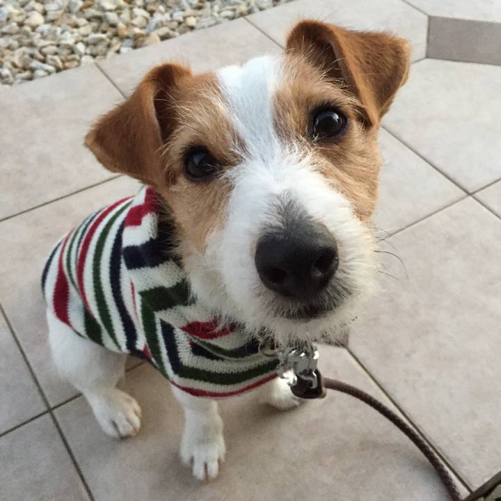 B6330234 cdf9 4cd4 8840 22e320f7bb44