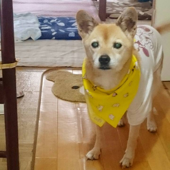 B6330f40 989b 43bd 9fd6 4527f14ad221