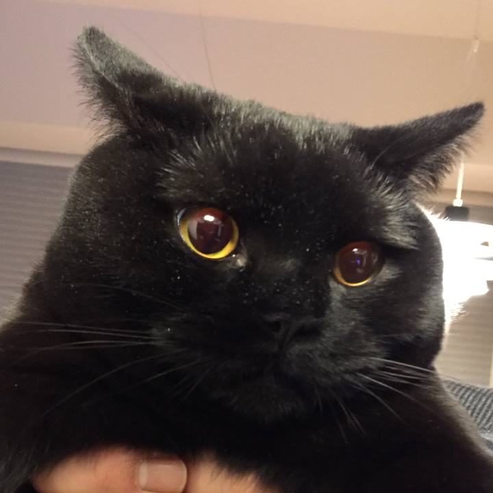 B6331cb9 b815 48cb b851 fc7293040fa4