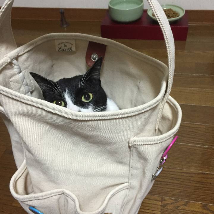 B63335a4 cb7d 4018 81ac bda88f345a3d