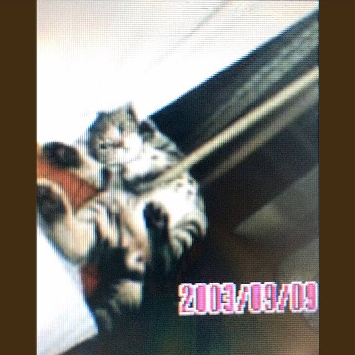 B63336aa b102 4150 accf 5d27546e0cf6