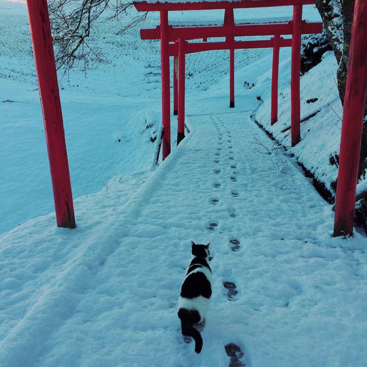 B633415f 368a 4f53 82c5 958137848423