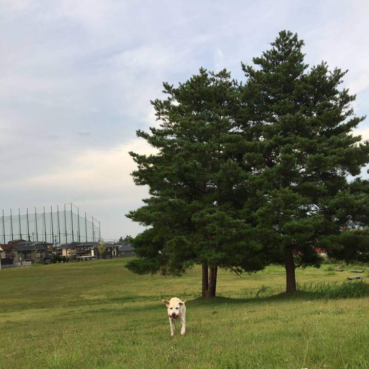 B633810e e53e 4373 849d c3a9e58b30a7