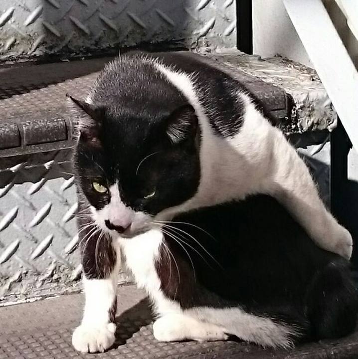 B633a5da f026 4307 96f0 996a778c97f5