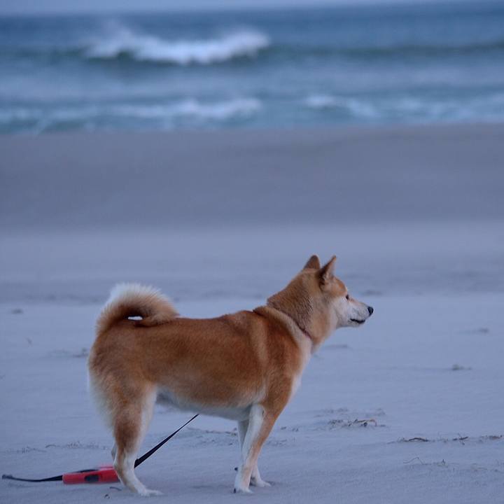 B633d54a 2c67 48d9 a46a 13cc0d5a1bb4