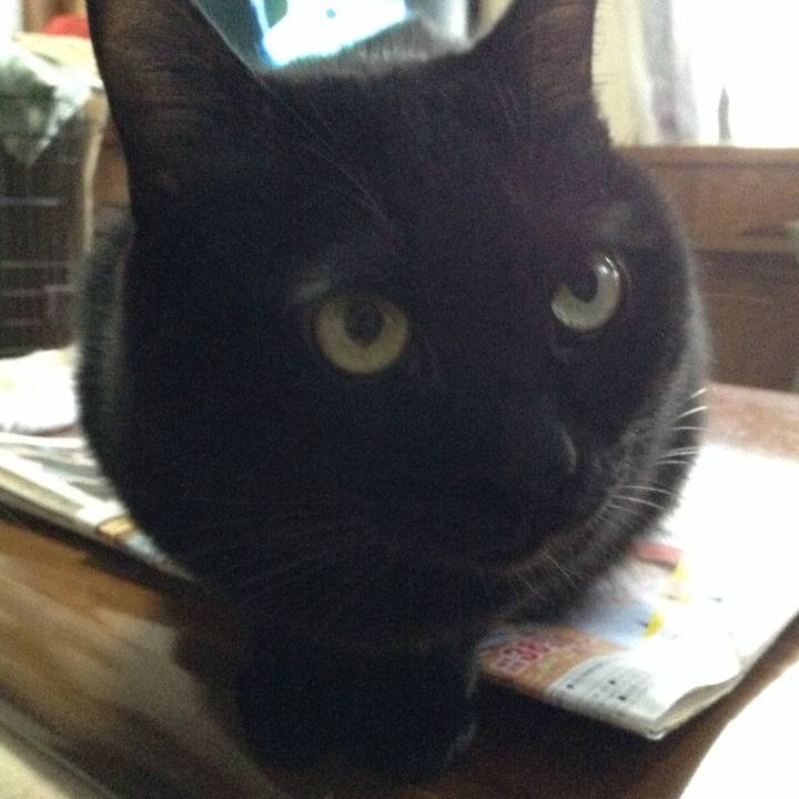 B6340ef1 0292 40ee 8e83 6a20ca7482e6