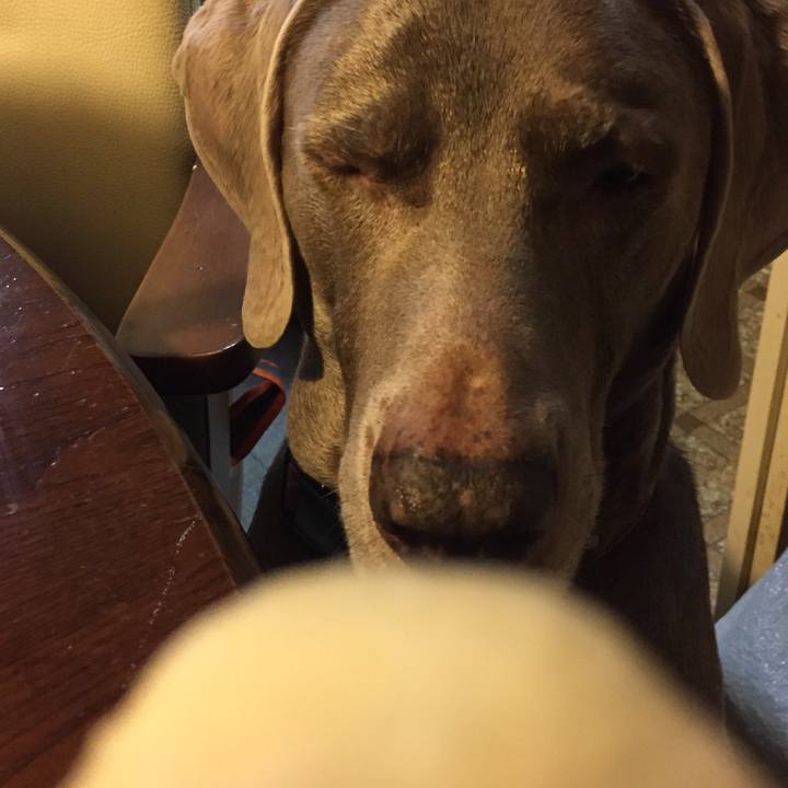 B634460d 4abe 4916 9c6e f988a2e5a9a5