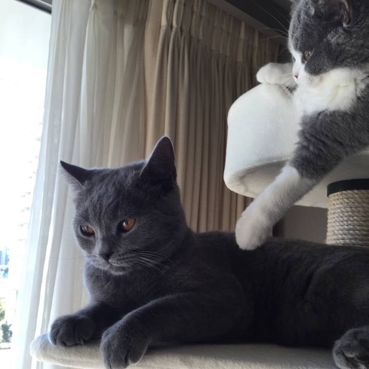 B6345b09 4043 4073 adc6 fe7b79f23f6f