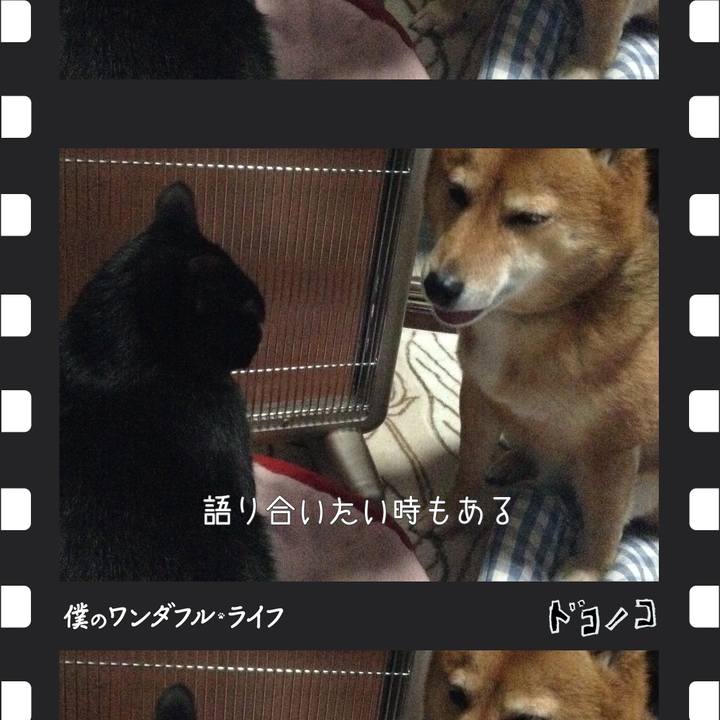 B634af2c 858c 4c9d a2b4 d8e4d3f0593c