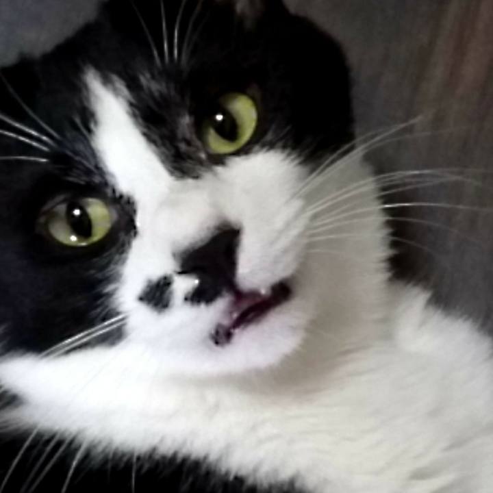 B635959c 3ac4 47b4 88ac 541c48a9b4a7