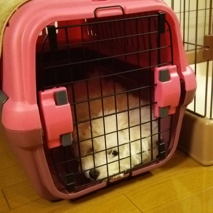 B63595c8 0591 45db 8908 7859015532f6