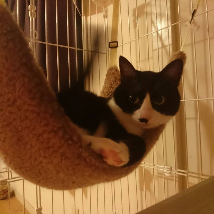 B635e2de 4736 4e29 b341 b979e6697720