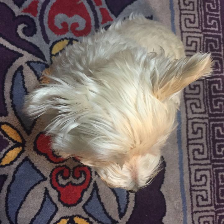 B6362347 b1d4 4861 b77e 591e4c90bcfd