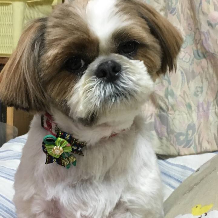 B6362ea9 907a 47dd aff1 d70540913405