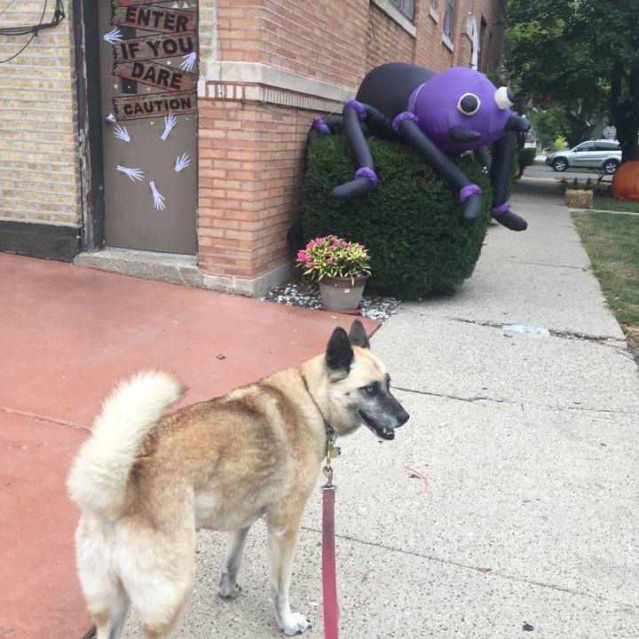 B636cb3c 9ecf 4f88 8364 76a86dab52a4