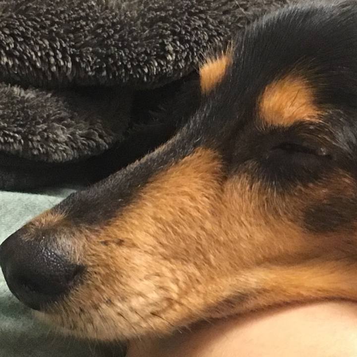 B637277e 246b 4930 afd7 30a402b3ed49