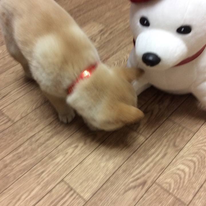 B6372e4b 4168 49da 965e 72307d8df10e