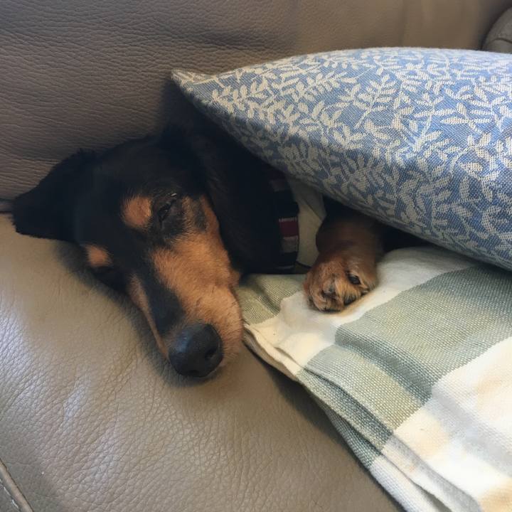 B6373619 0e6d 4846 a5e7 7d711667a887