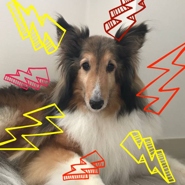 B637901a 311f 4d31 ad80 6f37a7131a95