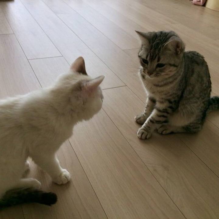 B637de19 bcb9 4508 8f3a 29ca51ef0202