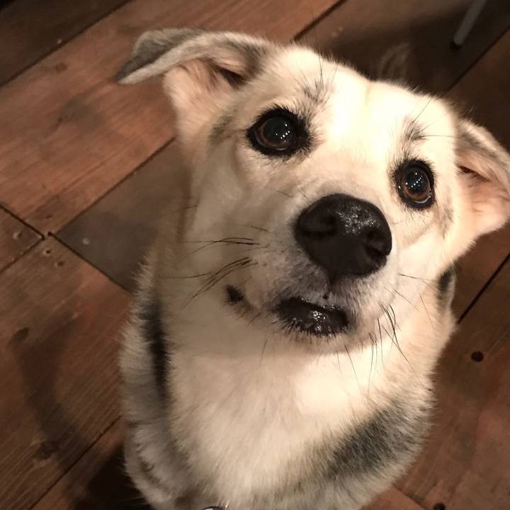 B639734d f4ab 4e16 bc9f 41bdac266c4e