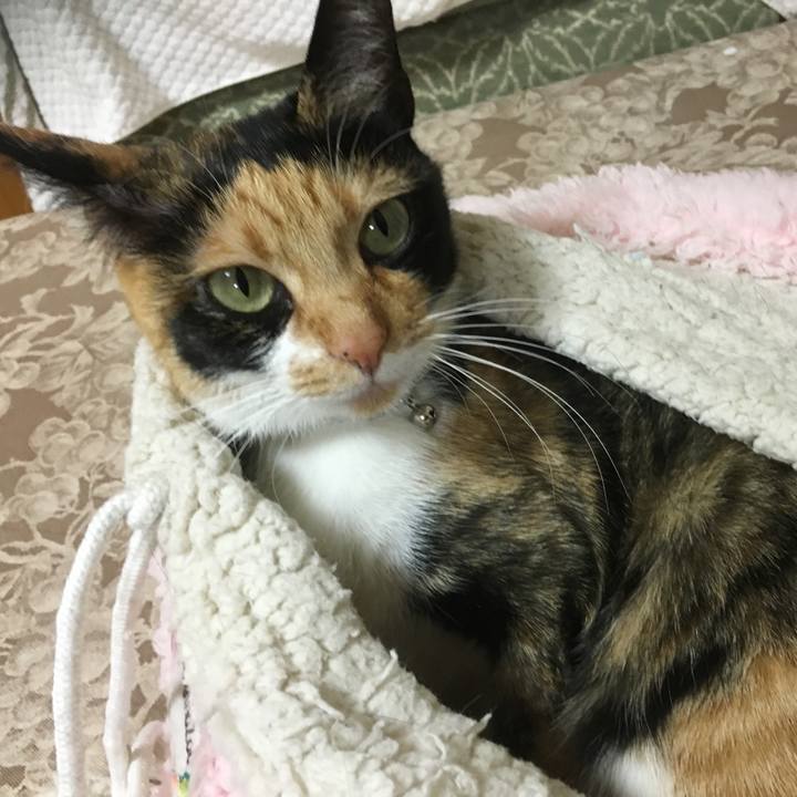 B63a0c94 b55c 48e2 9b08 ef4717206e29