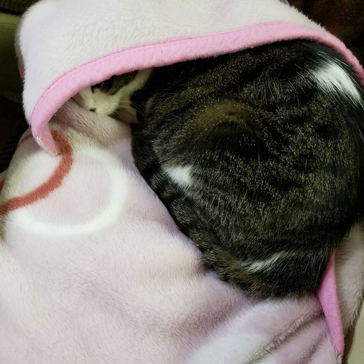 B63a5cb5 ffbe 453e bc4e 452a3c1e0d4d